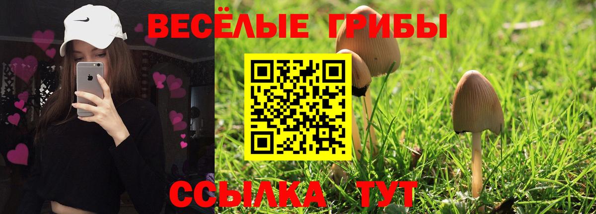Псилоцибиновые грибы мухоморы Комсомольск-на-Амуре